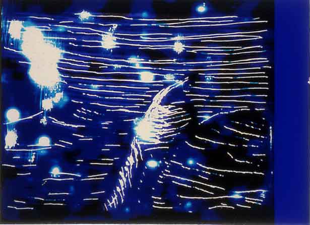 His Comedy, Paul Bush