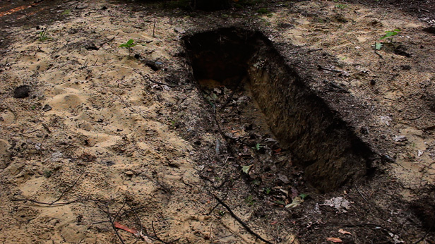 This is History (after all), Roz Mortimer