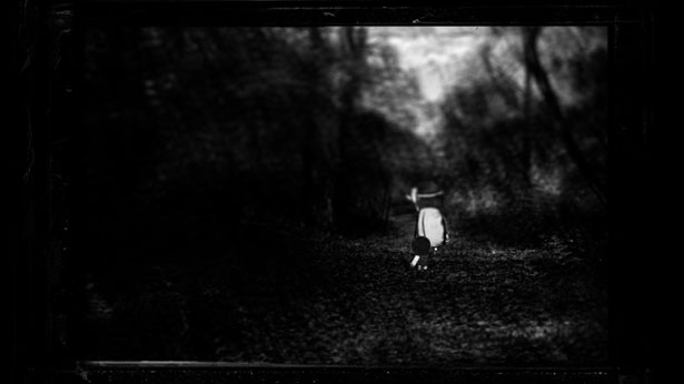 Horse Glue, Stephen Irwin