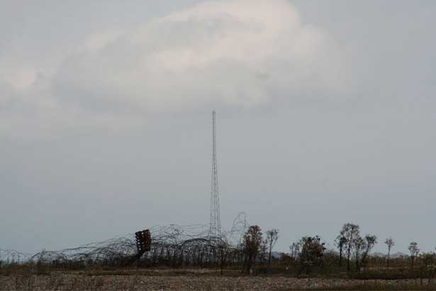 Cobra Mist, Emily Richardson