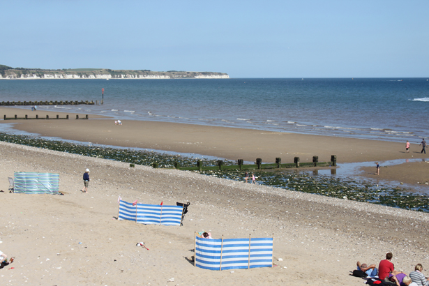 Love Brid, Susan Collins