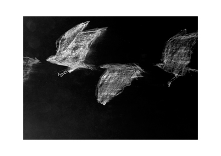 Out Of Sight, Karolina Glusiec