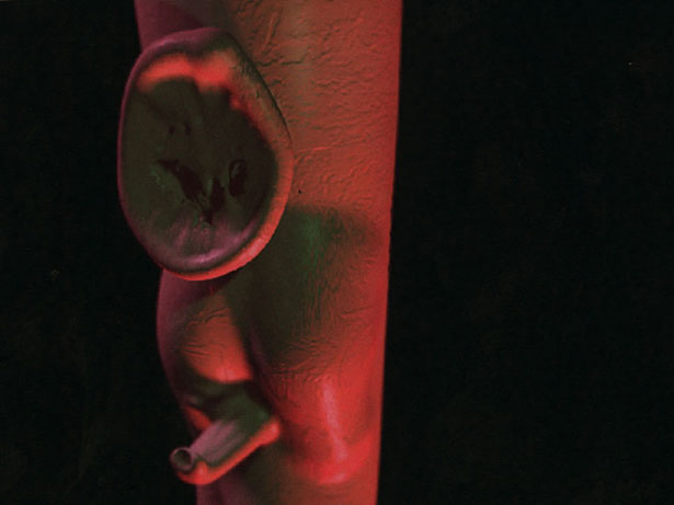 Kingdom Protista, Andrew Kötting