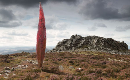 Lament, Seán Vicary