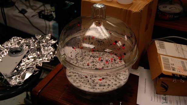 Magnetic Movie, Semiconductor