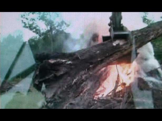 Notes Part II: navstevnici, Charlie Tweed