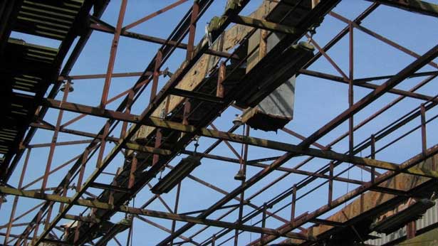 Cobra Mist, Emily Richardson