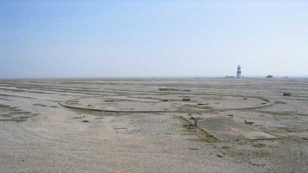 Cobra Mist, Emily Richardson