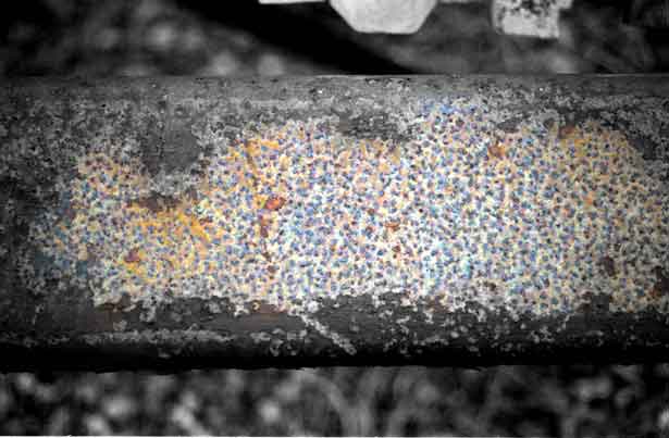 Exposure, Peter Collis