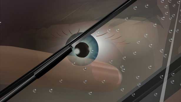 Purple Grey, Sebastian Buerkner