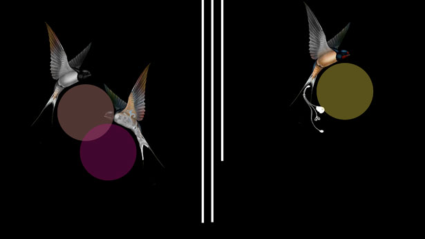 Carolina Melis, Regarding Gardens