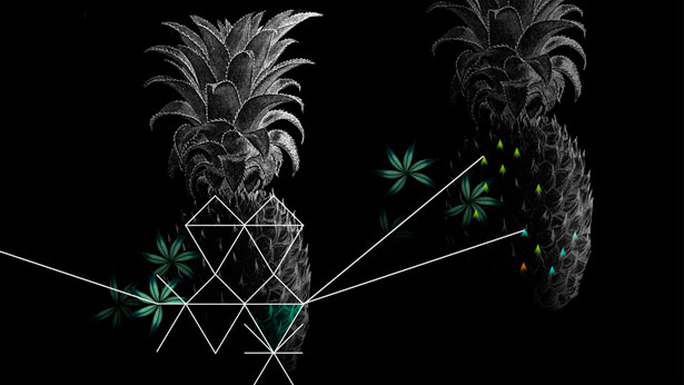 Carolina Melis, Regarding Gardens