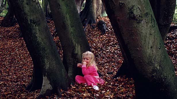 Safety Tips for Kids, Roz Mortimer