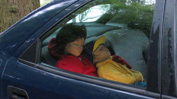 Safety Tips for Kids, Roz Mortimer