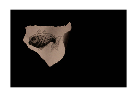 Goldfish, Savinder Bual