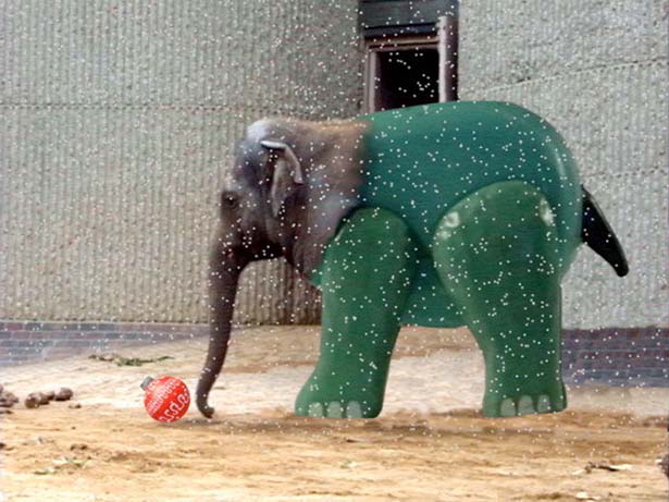 Season's Greetings, Phil Mulloy