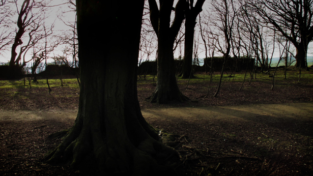 Stanmer, Brian McClave and Gavin Peacock