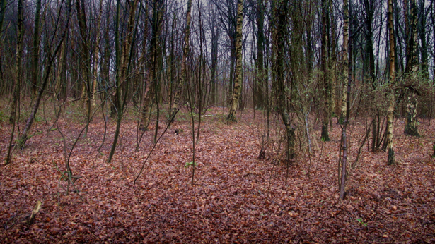 Stanmer, Brian McClave and Gavin Peacock