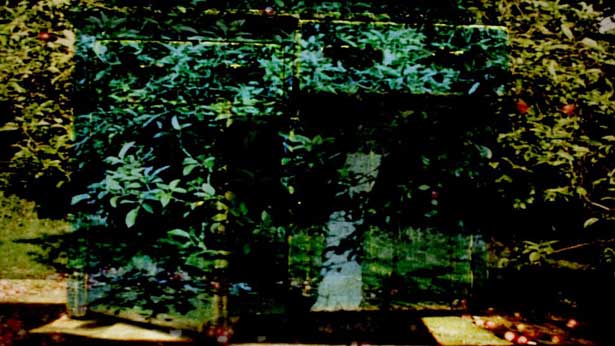 Sweet Salt, Katerina Athanasopoulou