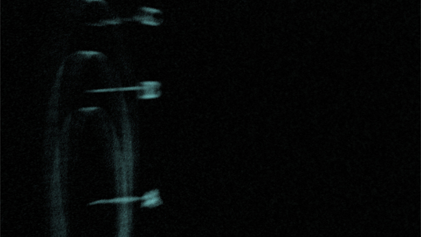 Tulips at Dawn, Rosie Pedlow