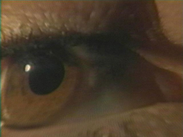 Wax or the Discovery of Television Among the Bees, David Blair