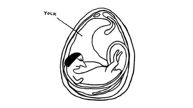 Who I Am and What I Want, David Shrigley & Chris Shepherd