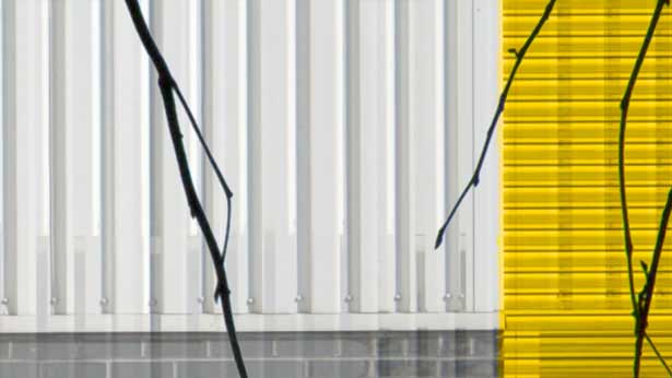 Without You, Tal Rosner