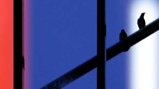 Without You, Tal Rosner