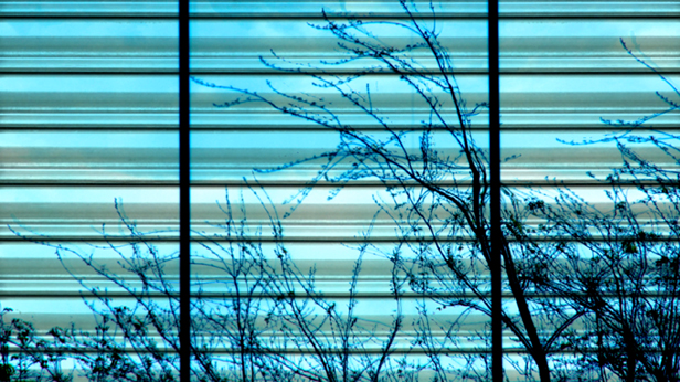 Without You, Tal Rosner